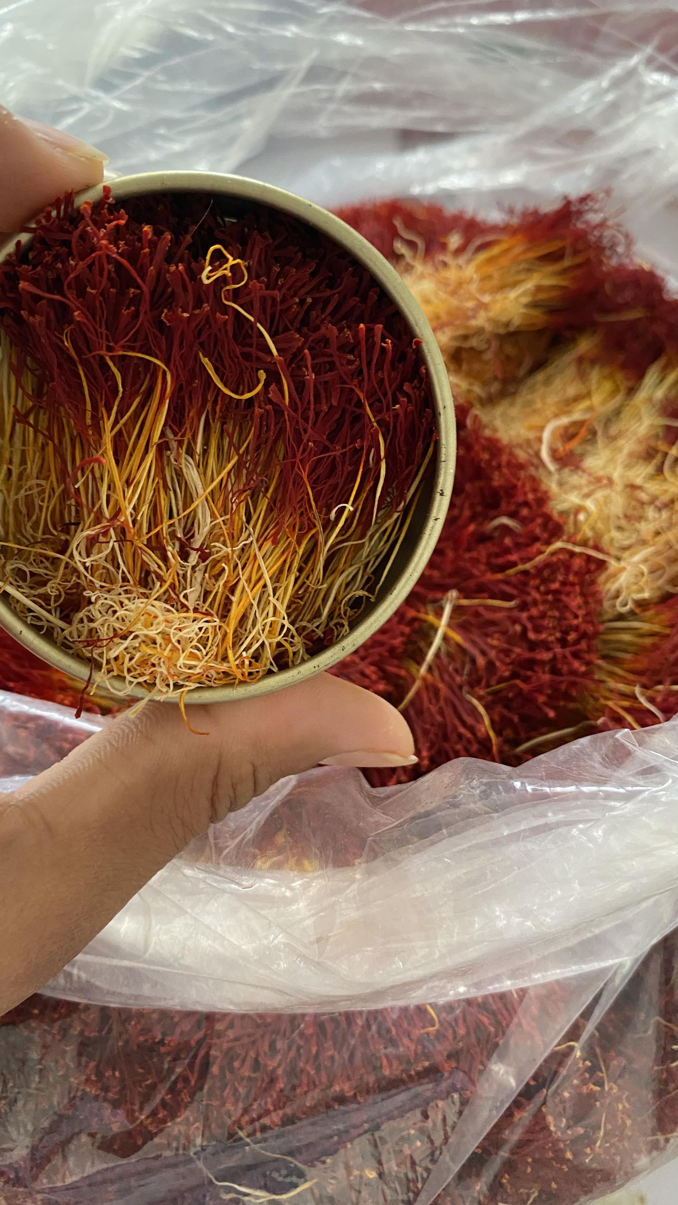  زعفران دختر پیچ سرایان 