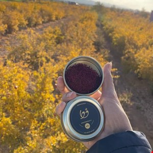 زعفران سرگل درشت درجه یک(یک مثقال)