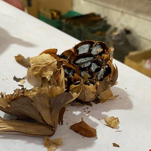 سیر سیاه درجه یک 