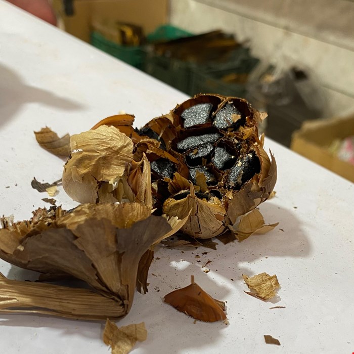 سیر سیاه درجه یک 