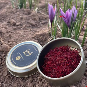 زعفران سرگل یک گرمی