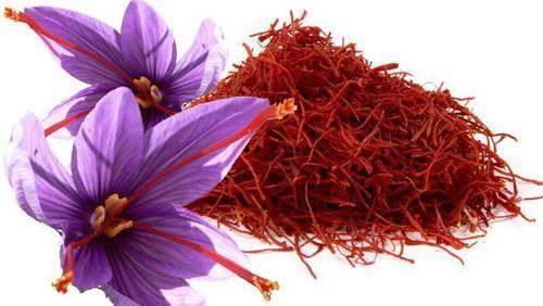 گیاه دارویی به نام طلای سرخ