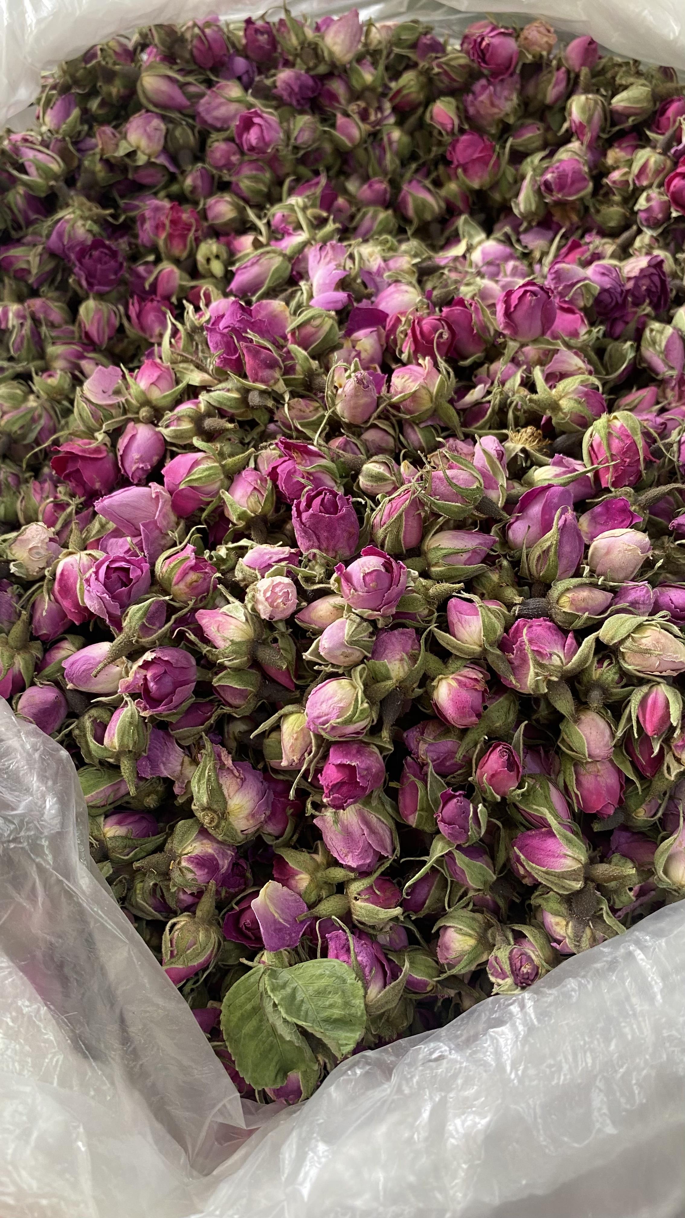 غنچه گل محمدی و خواص آن