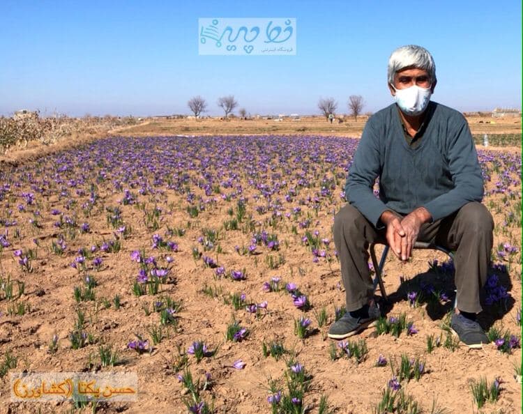 آقای حسن یکتا کشاورز با تجربه ی سرایانی برامون از زعفرون میگه !