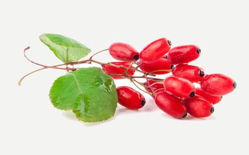 خواص درمانی زرشک 