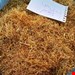  ریشه زعفران درجه یک خط چین 