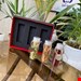  پک کادویی زعفران خط چین شامل یک مثقال زعفران سرگل،یک مثقال ریشه زعفران و ۱۵ گرم هل اکبر بنفش درجه یک هست 