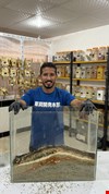 اینجا با کیفیت ترین ادویه جات ایران رو براتون آماده میکنیم
